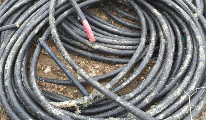 bti体育平台·(中国)官方网站