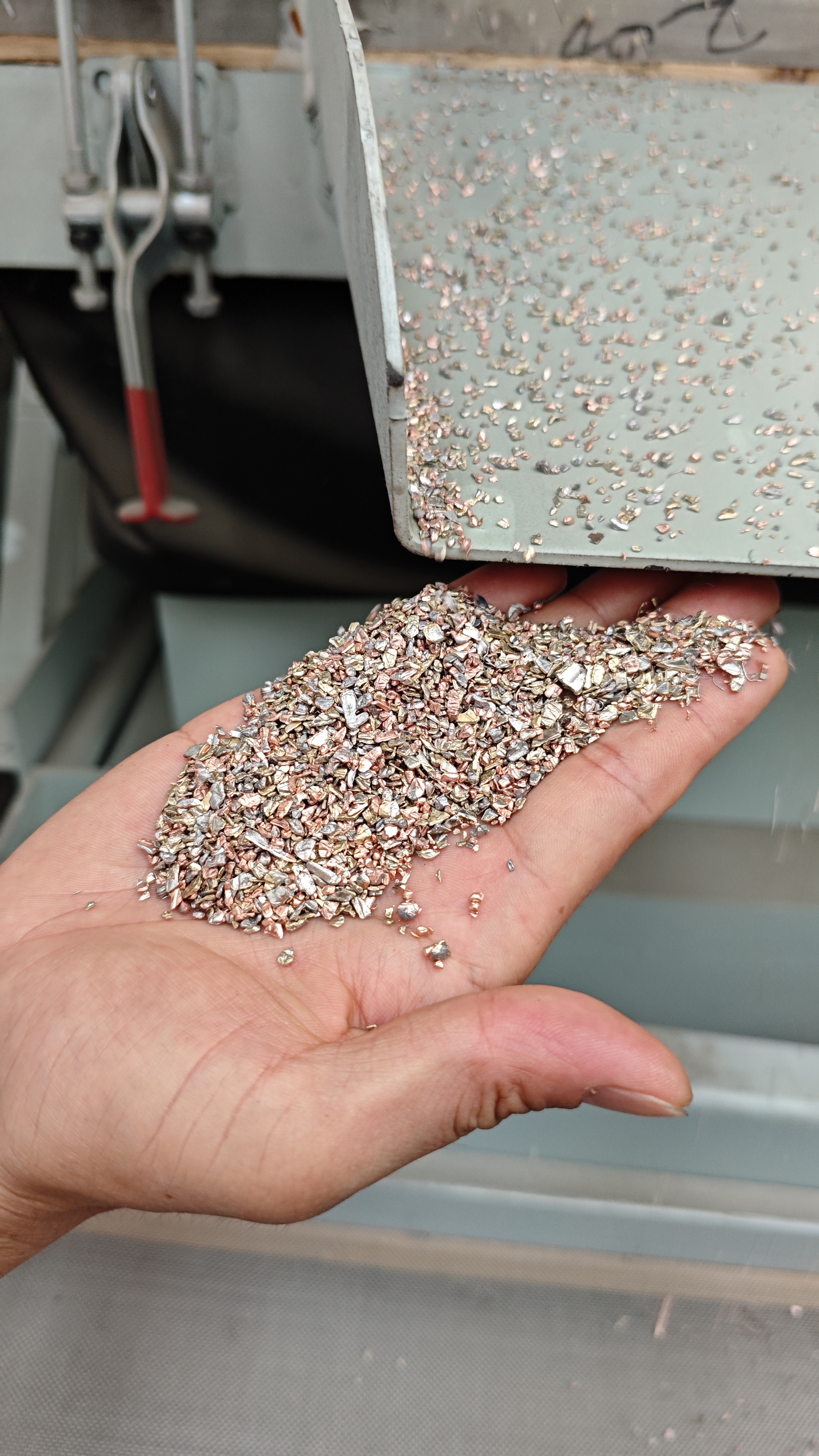 bti体育平台·(中国)官方网站