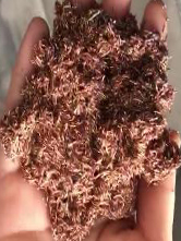 bti体育平台·(中国)官方网站