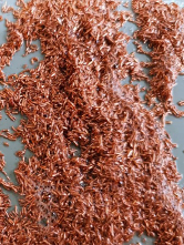 bti体育平台·(中国)官方网站